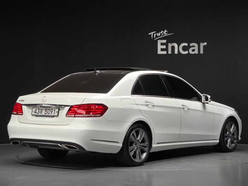 2014 Mercedes-Benz E-Class E300 Avangard photo 2
