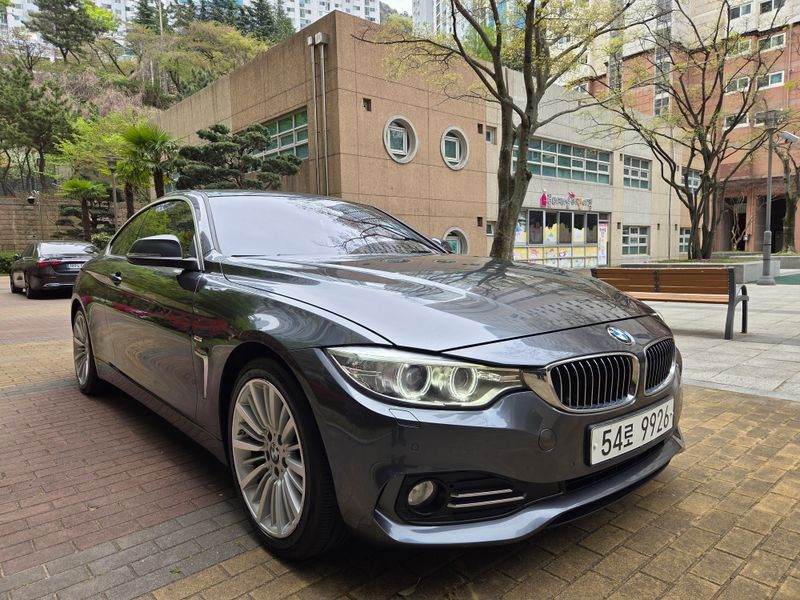2015 BMW 4 Series 420d Luxury Coupe photo 5