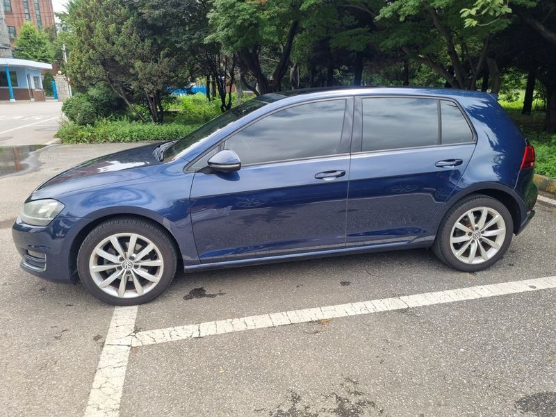 2014 Volkswagen Golf 2.0 TDI photo 4