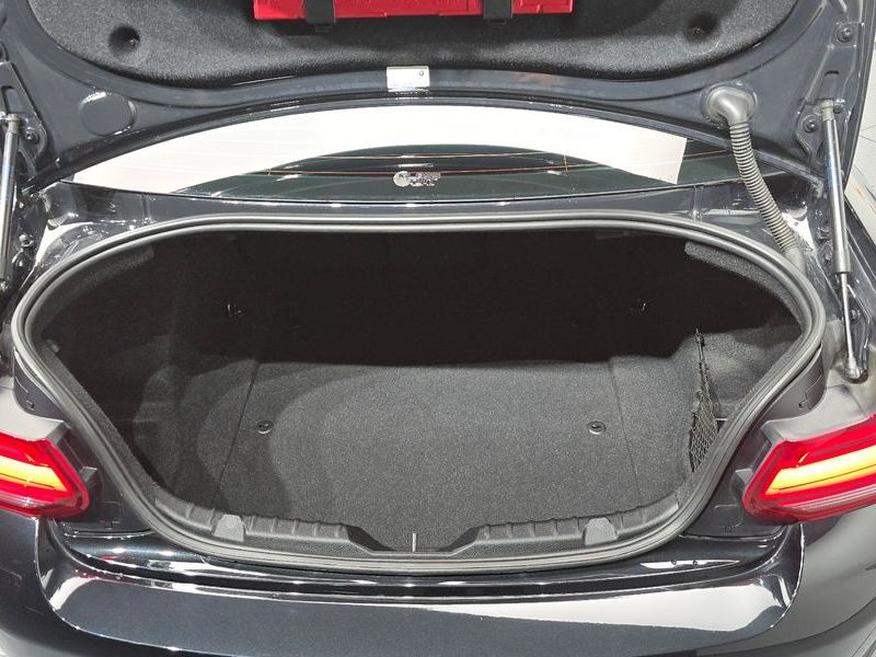 2018 BMW M2 Black Shadow photo 20