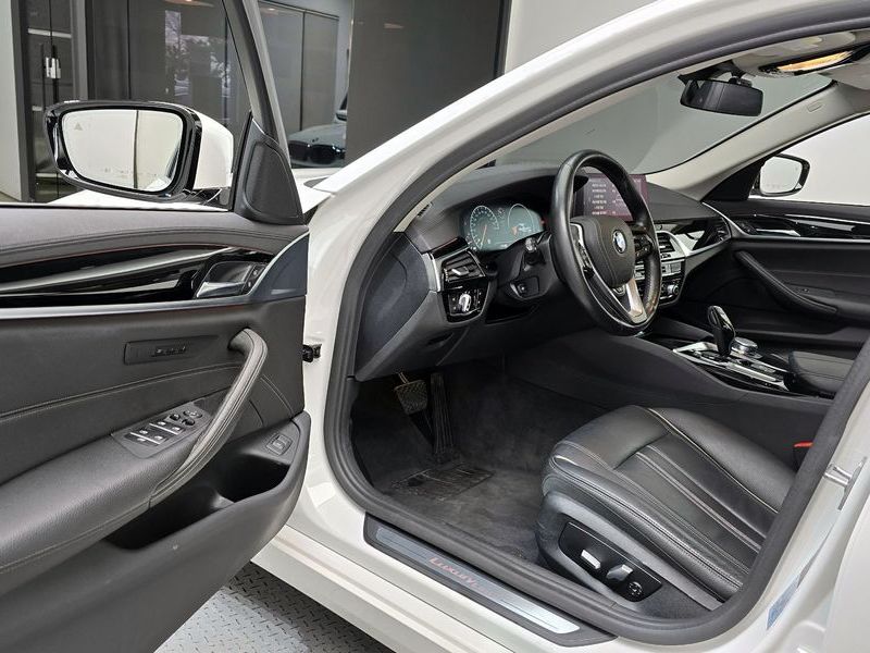 2019 BMW 5 Series 520i Luxury photo 11