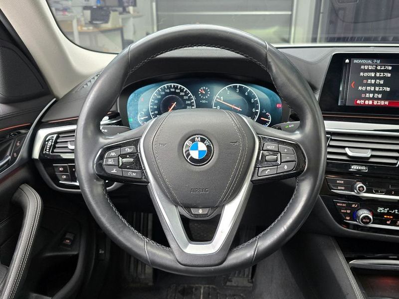2019 BMW 5 Series 520i Luxury photo 13
