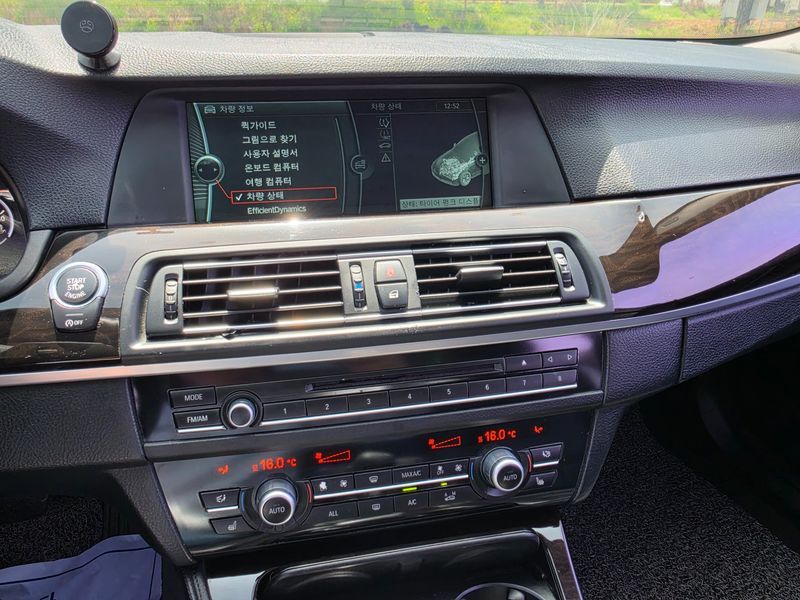 2013 BMW 5 Series 520d photo 17