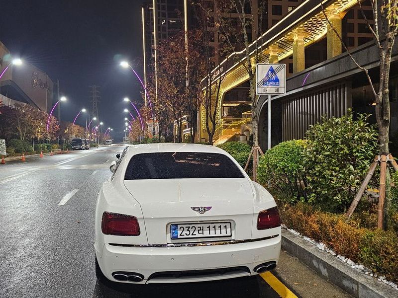 2016 Bentley Flying Spur 4.0 photo 9