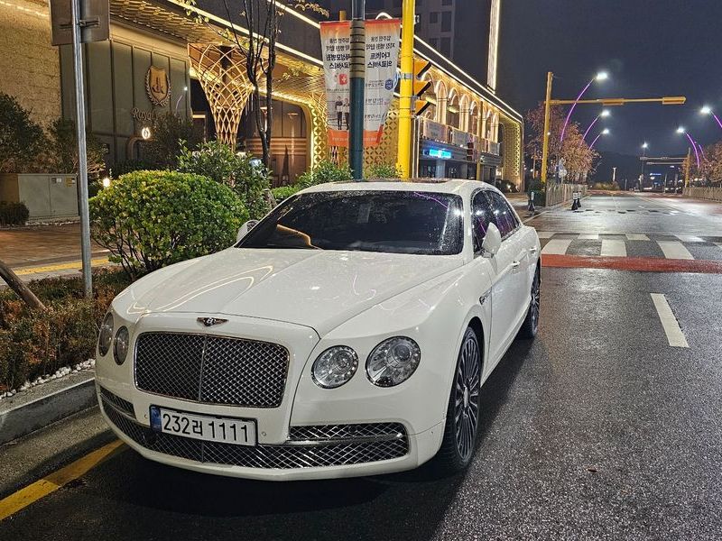 2016 Bentley Flying Spur 4.0 photo 10