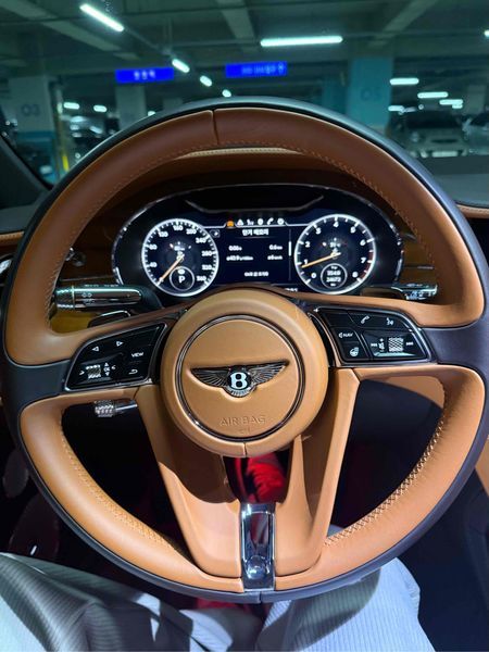 2020 Bentley Continental GT 4.0 GT photo 8