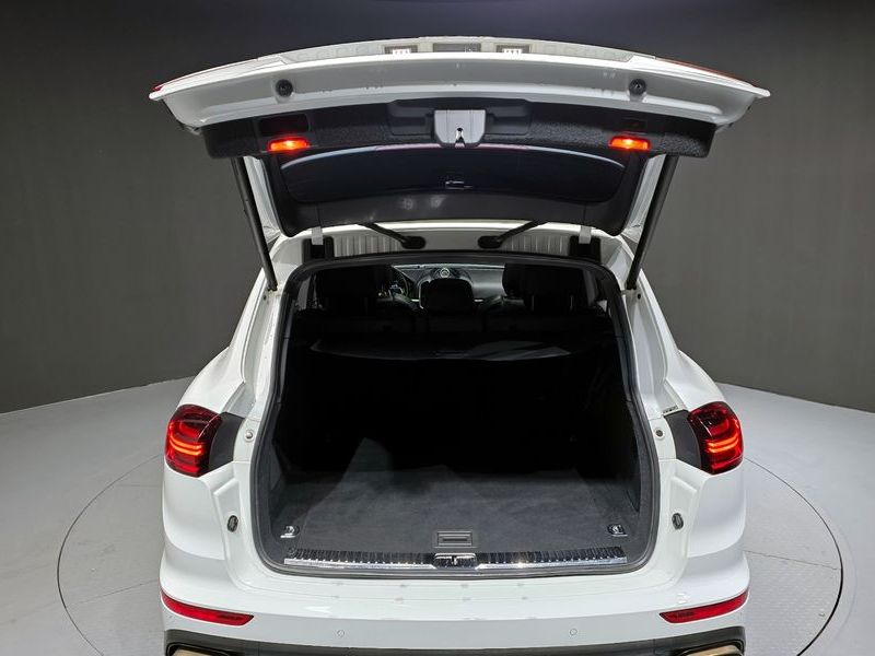 2017 Porsche Cayenne 3.0 Diesel Platium Edition 958 photo 20