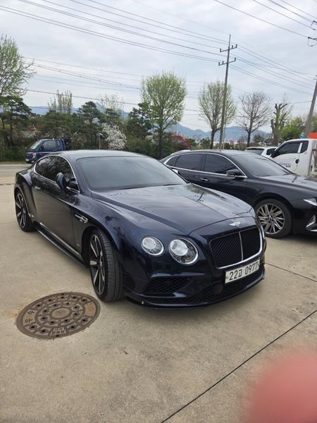2016 Bentley Continental GT 4.0 GT S photo 18