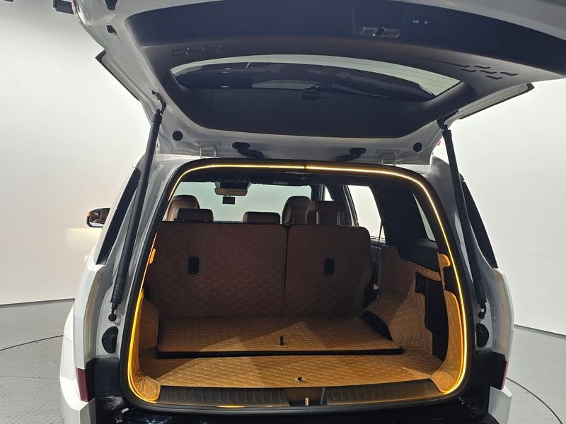2024 Hyundai Santa Fe HEV 1.6 2WD Calligraphy photo 20