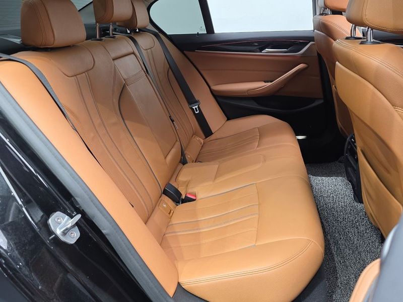 2020 BMW 5 Series 520i Luxury photo 12