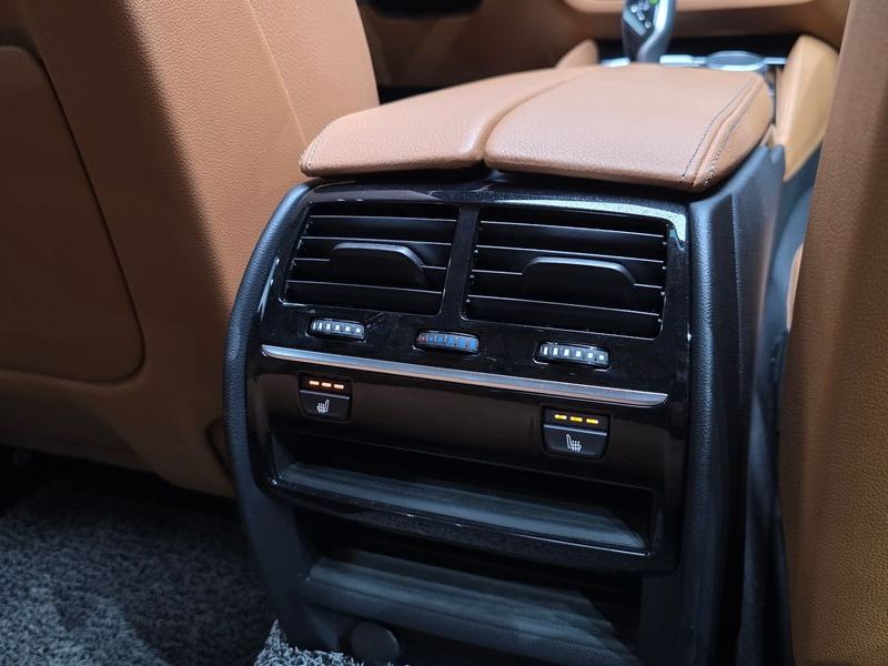 2020 BMW 5 Series 520i Luxury photo 19