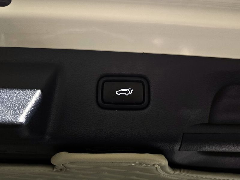 2023 Hyundai Palisade Diesel 2.2 4WD Calligraphy photo 19