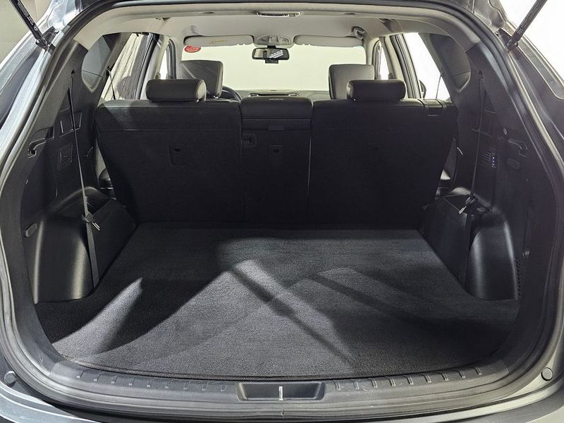 2016 Hyundai Santa Fe Diesel 2.0 2WD Premium photo 20