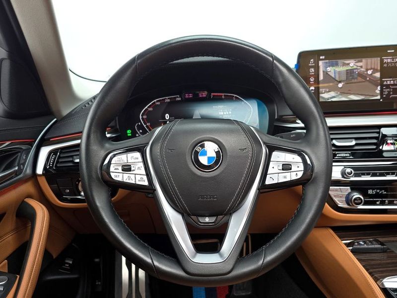 2021 BMW 5 Series 520i Luxury photo 13
