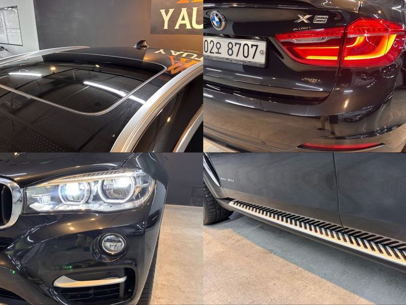 2019 BMW X6 xDrive 30d photo 20
