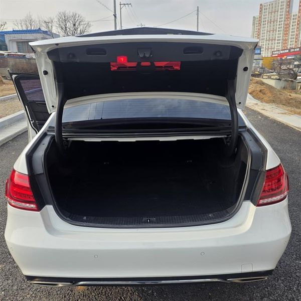 2016 Mercedes-Benz E-Class E220 Bluetec Avantgarde photo 13
