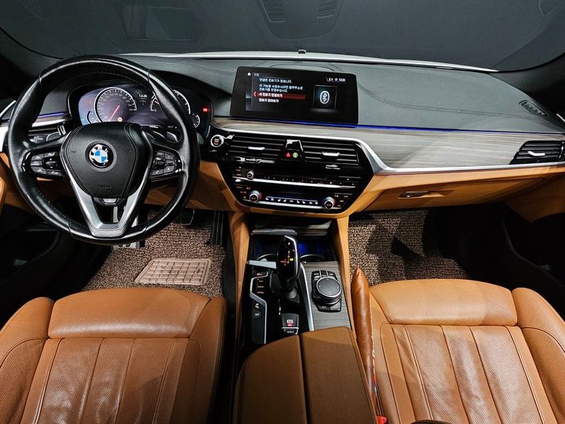 2017 BMW 5 Series 520d xDrive M Sport Package Plus photo 7