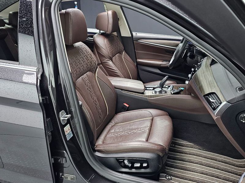 2019 BMW 5 Series 520d Luxury Plus photo 10