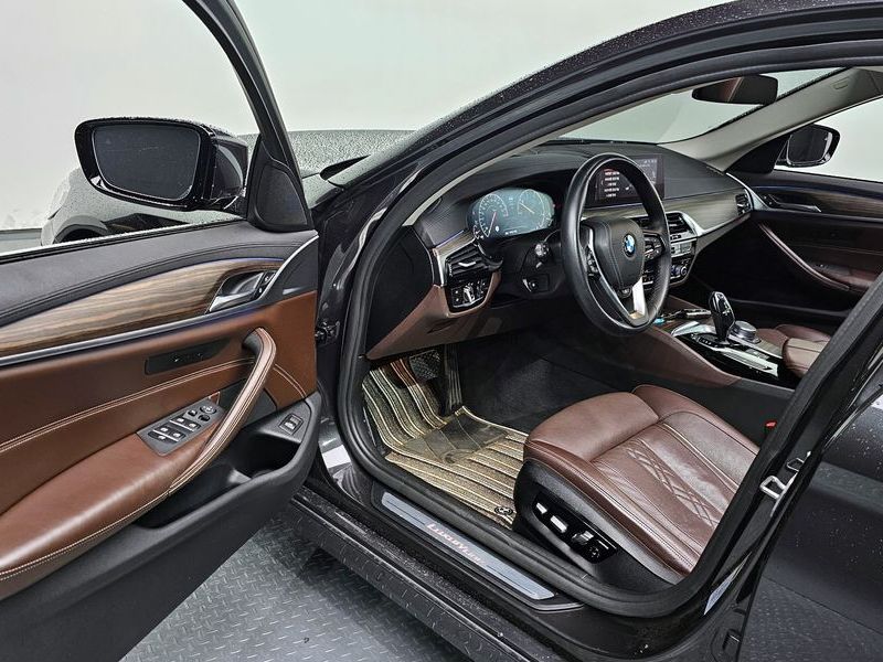 2019 BMW 5 Series 520d Luxury Plus photo 11