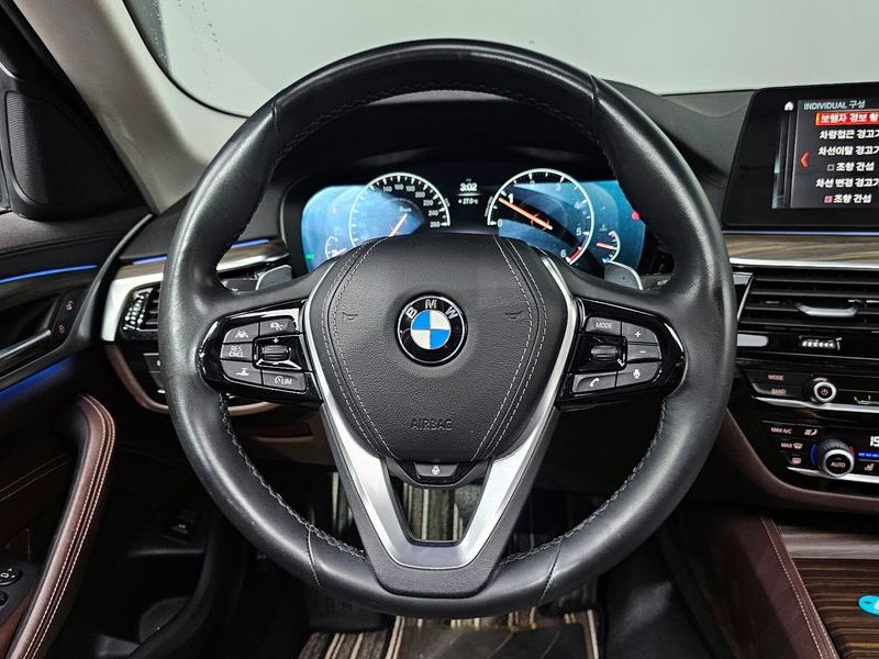 2019 BMW 5 Series 520d Luxury Plus photo 13