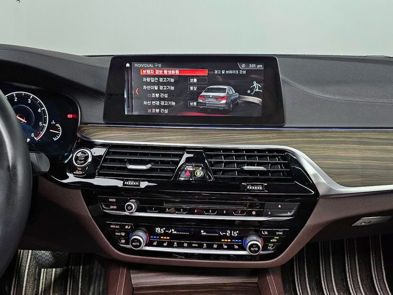 2019 BMW 5 Series 520d Luxury Plus photo 16