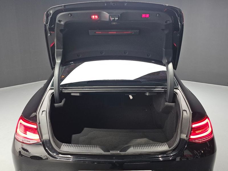 2019 Mercedes-Benz S-Class CLS400d 4MATIC photo 20