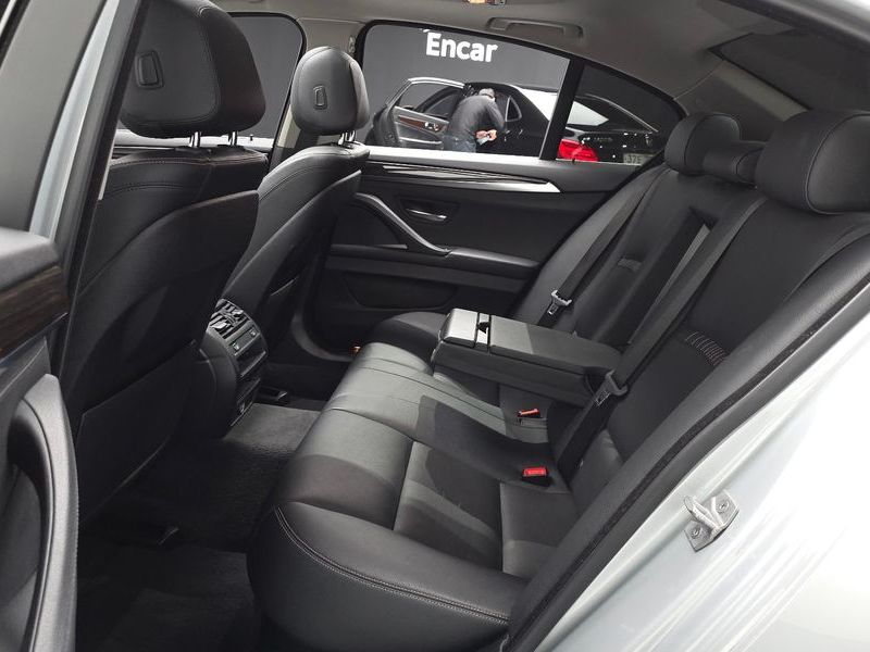 2015 BMW 5 Series 520d xDrive Luxury photo 12