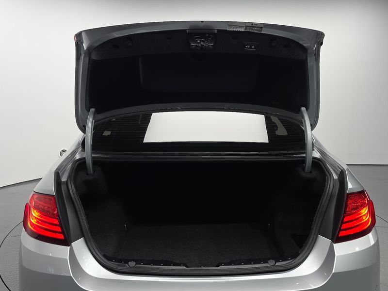 2015 BMW 5 Series 520d xDrive Luxury photo 20