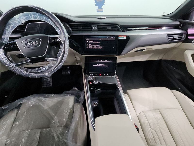 2020 Audi e-트론 55 Quattro photo 7