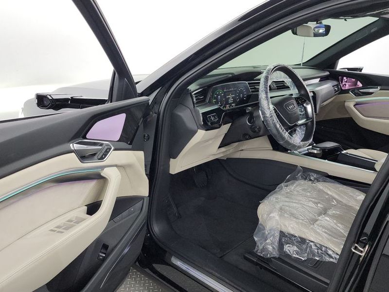 2020 Audi e-트론 55 Quattro photo 10