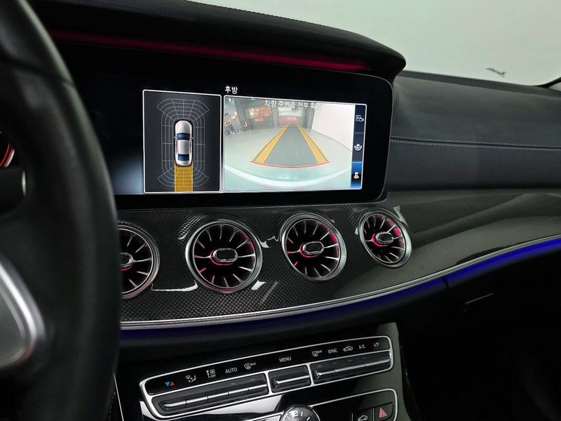 2019 Mercedes-Benz S-Class CLS300d AMG Line photo 15