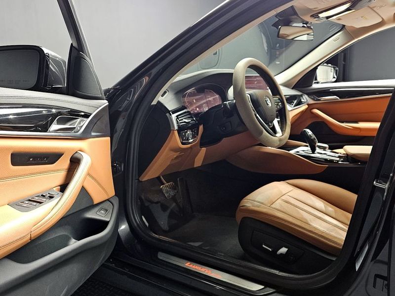 2020 BMW 5 Series 520i Luxury photo 12