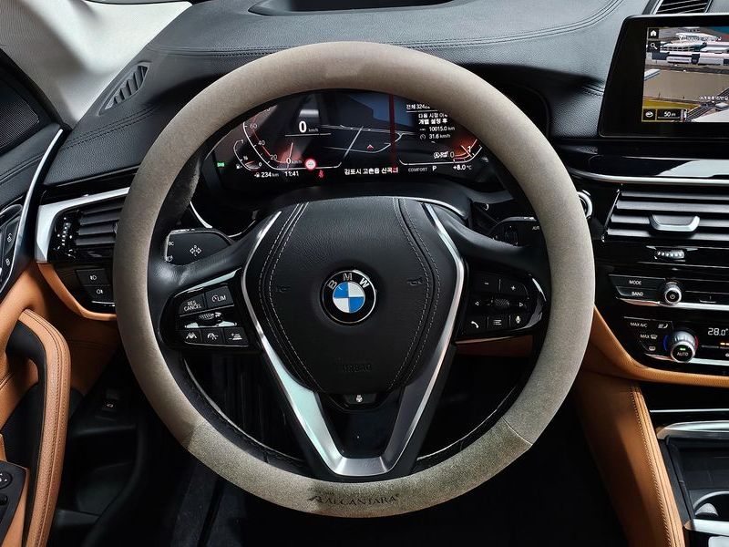 2020 BMW 5 Series 520i Luxury photo 13