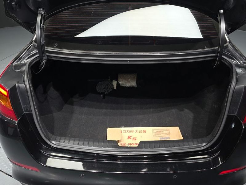 2014 Kia K5 Luxury Trendy photo 20