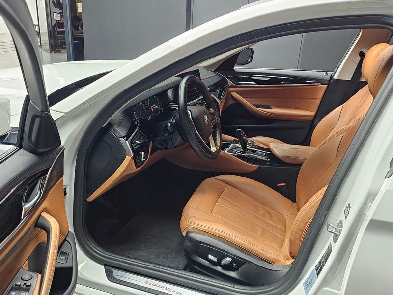 2019 BMW 5 Series 520i Luxury photo 10