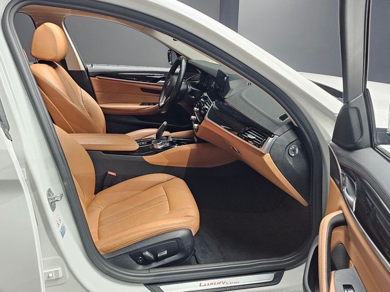 2019 BMW 5 Series 520i Luxury photo 11