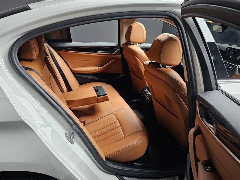 2019 BMW 5 Series 520i Luxury photo 12