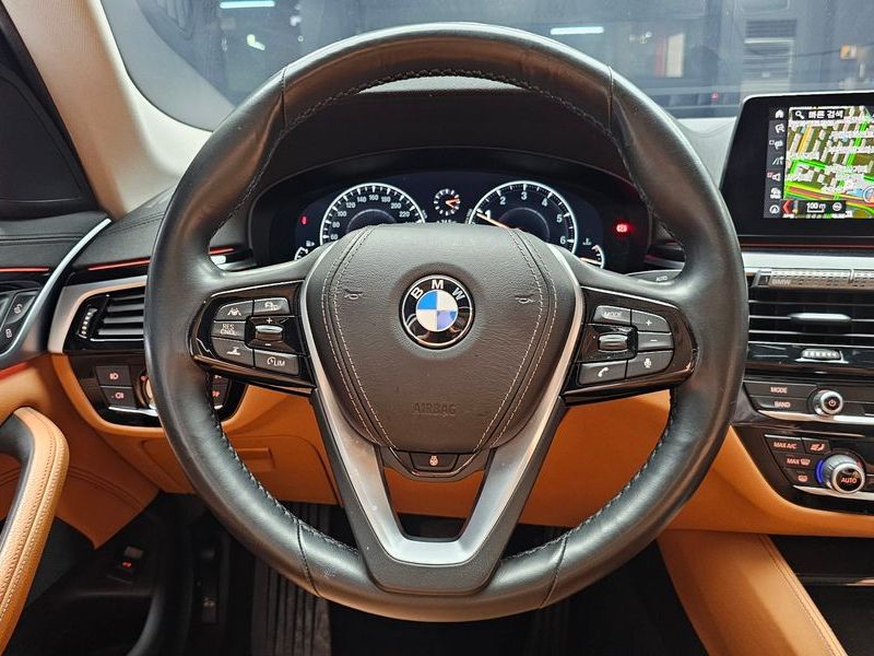 2019 BMW 5 Series 520i Luxury photo 13