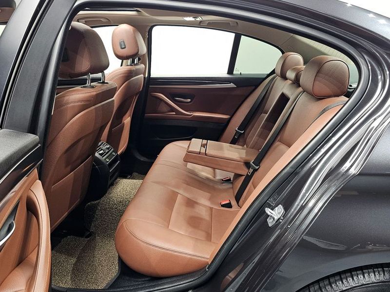 2015 BMW 5 Series 520d xDrive photo 11