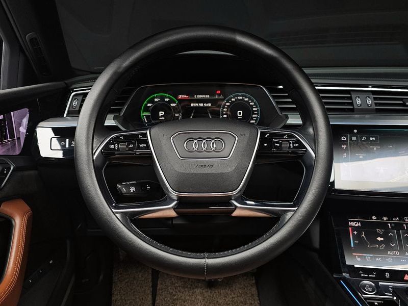 2020 Audi e-tron 55 Quattro photo 13