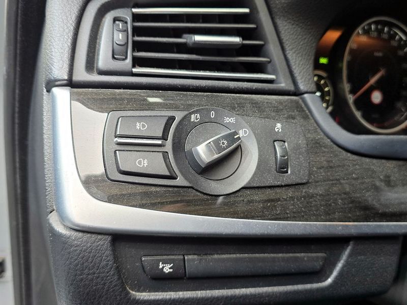 2014 BMW 5 Series 520d xDrive Luxury photo 15