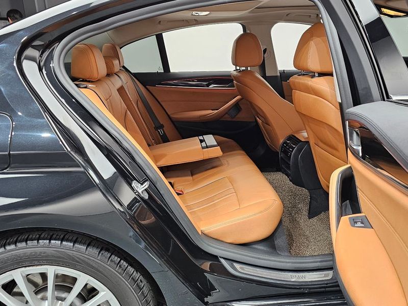 2020 BMW 5 Series 520i Luxury photo 11