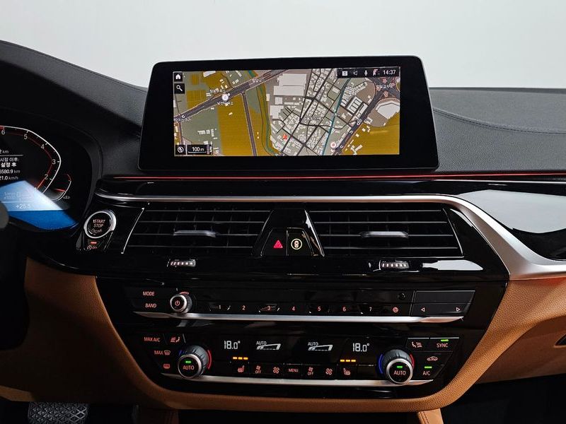 2020 BMW 5 Series 520i Luxury photo 12