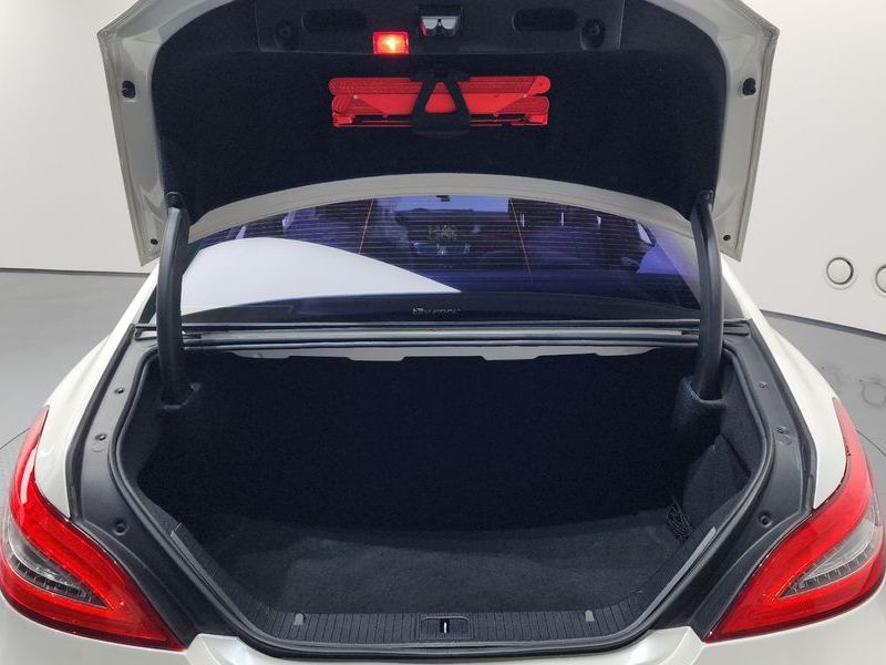 2014 Mercedes-Benz S-Class CLS250 CDI photo 20