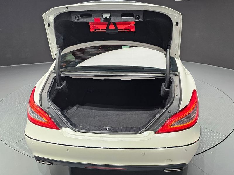 2014 Mercedes-Benz S-Class CLS250 CDI photo 20