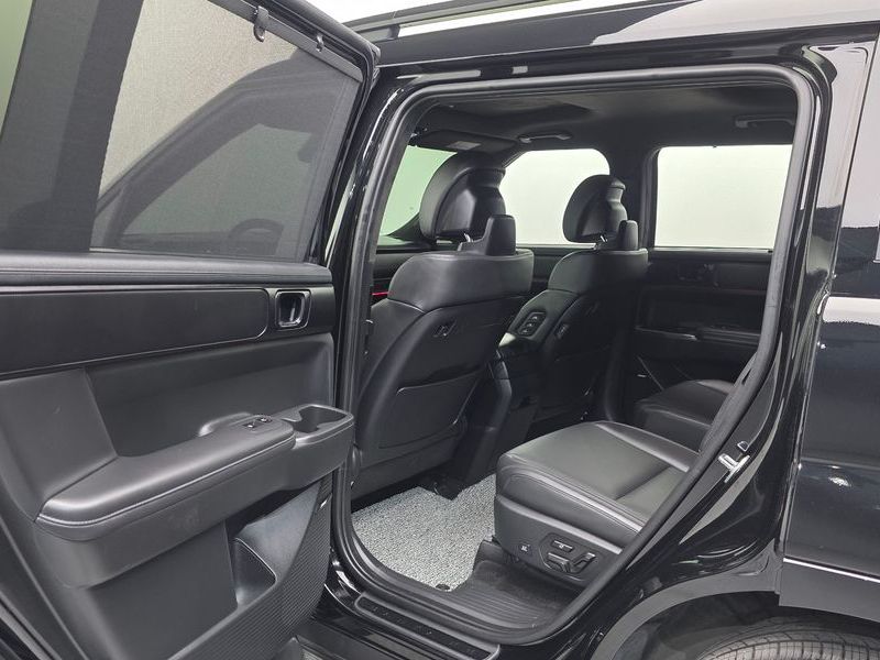 2025 Hyundai Santa Fe HEV 1.6 2WD Calligraphy photo 15