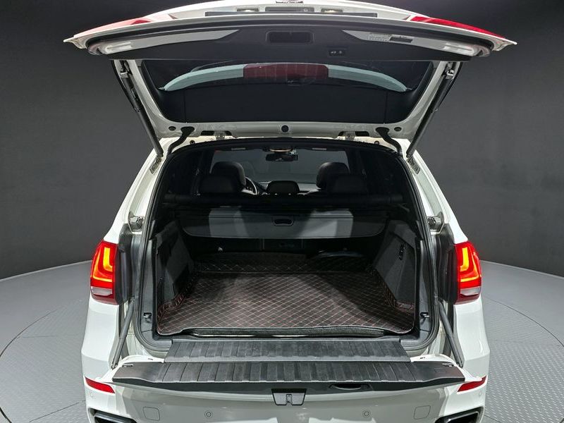2016 BMW X5 xDrive 30d Vision 100 Edition photo 19