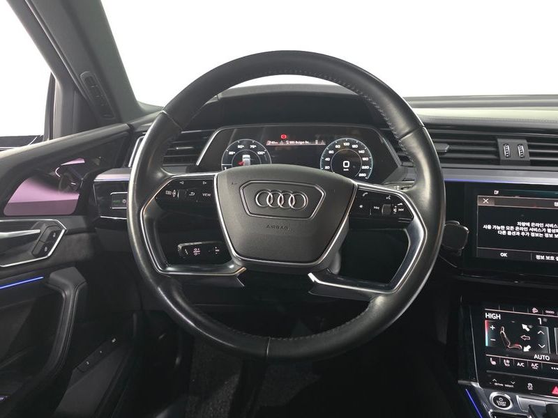 2021 Audi e-tron 55 Quattro Sportback photo 13