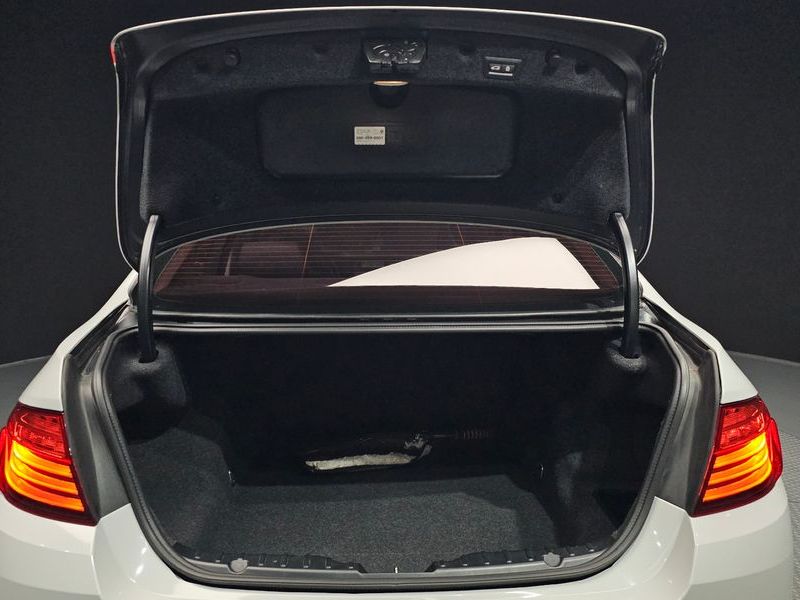 2014 BMW 5 Series 520d photo 20