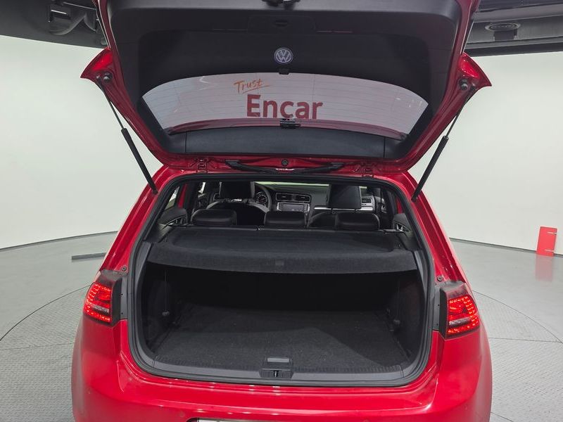 2016 Volkswagen Golf 2.0 GTI photo 20